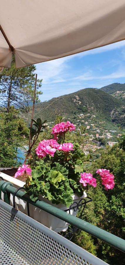 A Ca Me Bed & Breakfast Bonassola Exterior foto