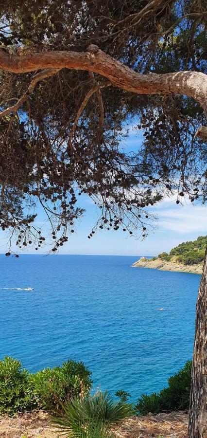 A Ca Me Bed & Breakfast Bonassola Exterior foto